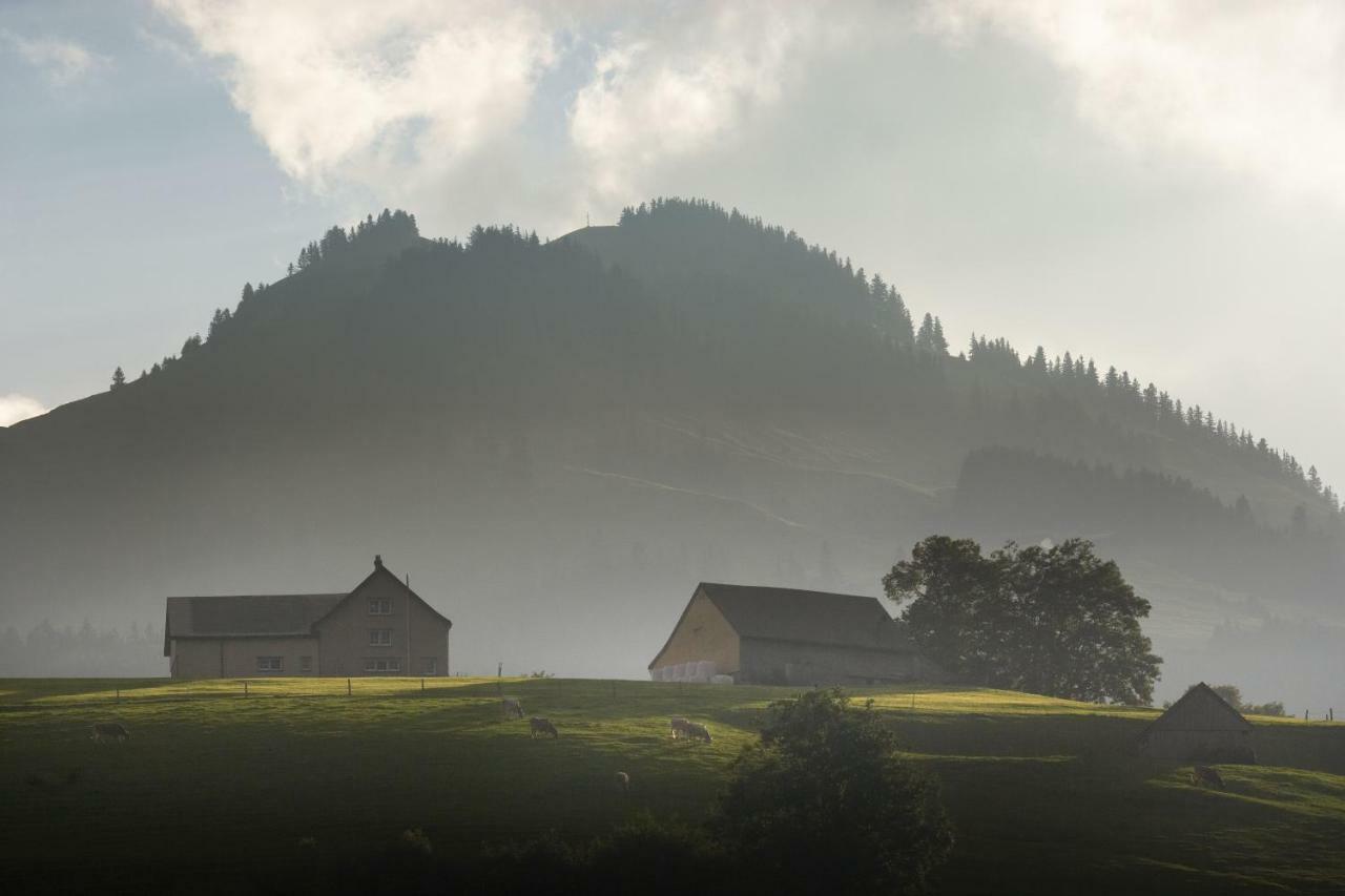 Lodge Hof Weissbad ภายนอก รูปภาพ